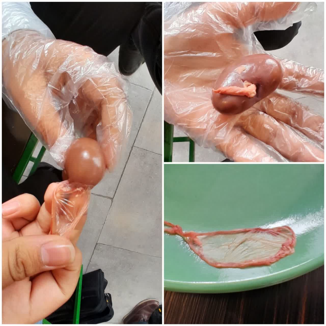 آزمایشگاه زیست 